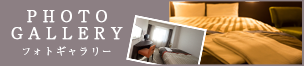 フォトギャラリー